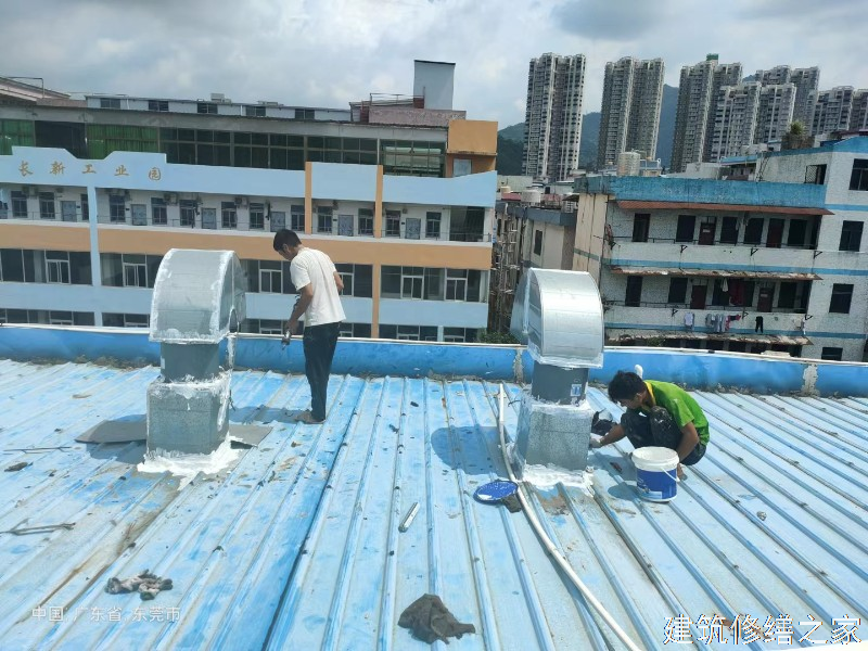 肇庆2026鼎湖区 地下室堵漏 企业